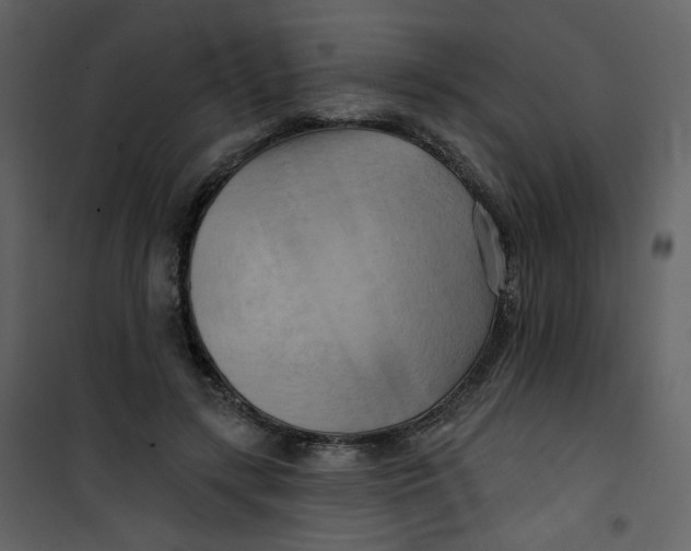 X0000100780547200807171445