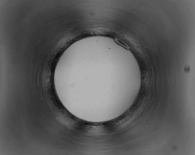 X0000100780548200807171445