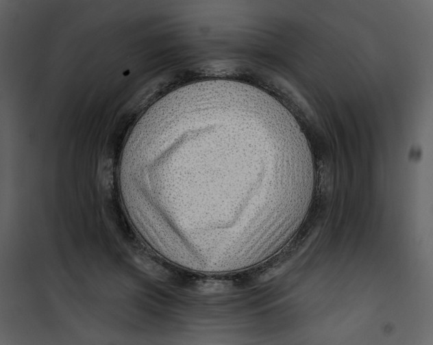 X0000100780549200807171445