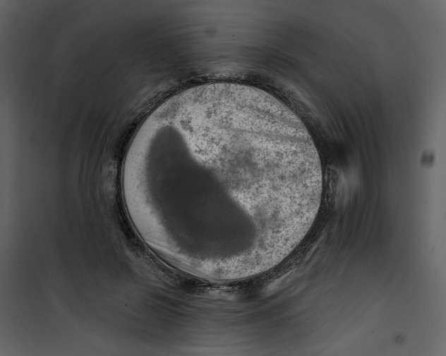 X0000100780550200807171445