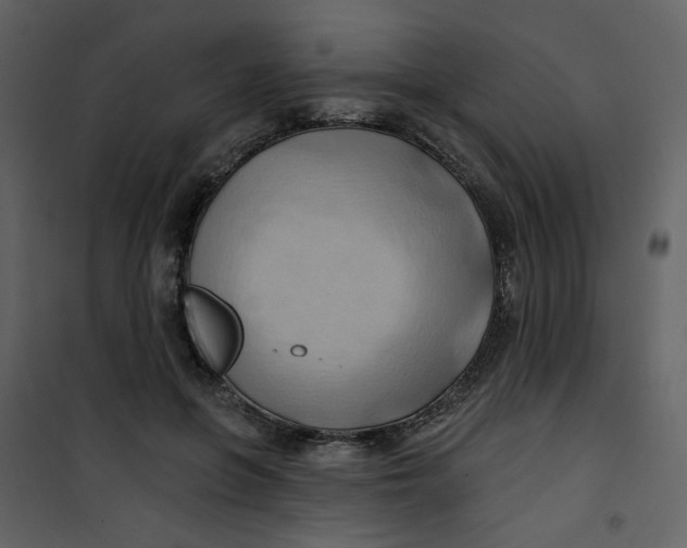 X0000100780551200807171445