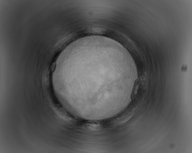 X0000100780552200807171445