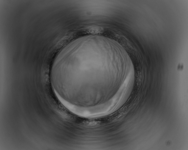 X0000100780553200807171445