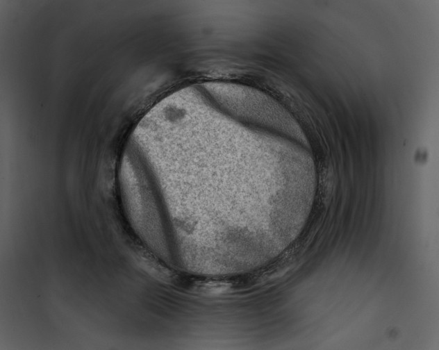 X0000100780554200807171445