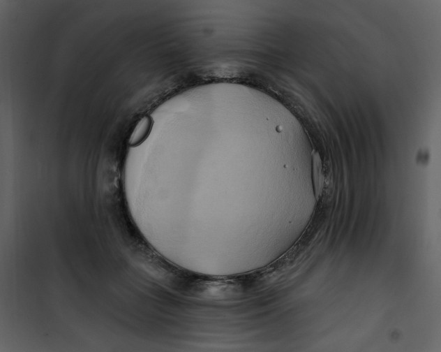 X0000100780555200807171445