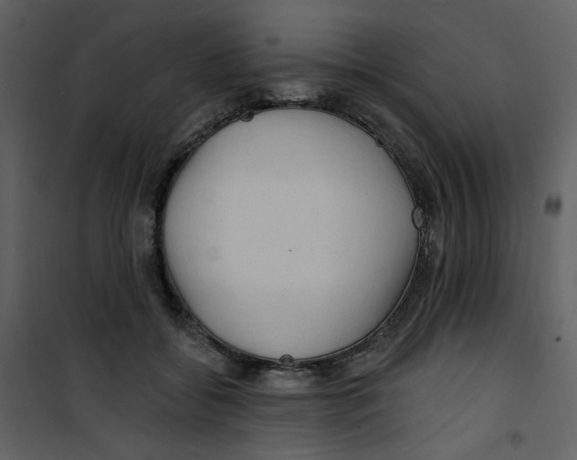 X0000100780556200807171445