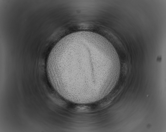 X0000100780557200807171445