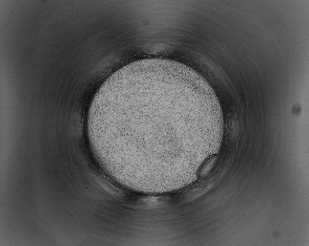 X0000100780558200807171445