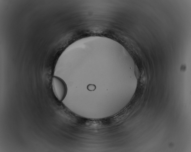 X0000100780559200807171445