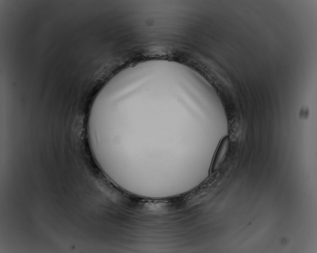 X0000100780560200807171445