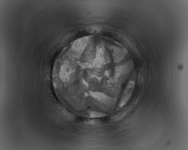 X0000100780561200807171445