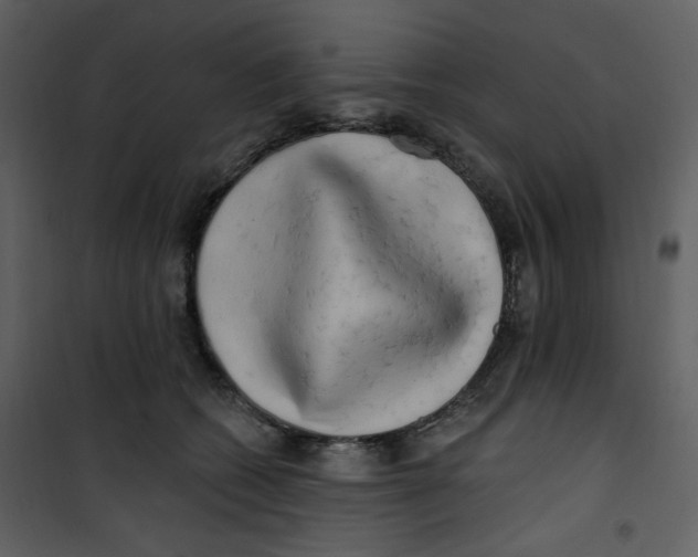 X0000100780562200807171445