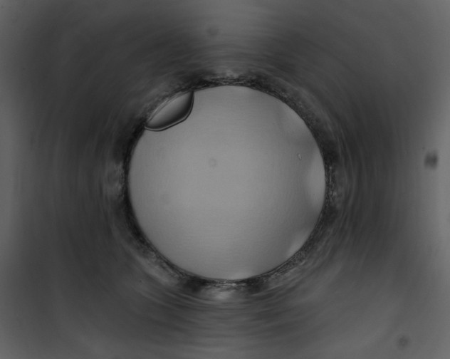 X0000100780563200807171445
