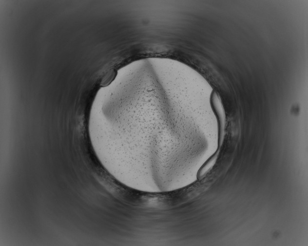 X0000100780564200807171445