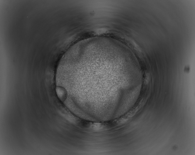 X0000100780565200807171445