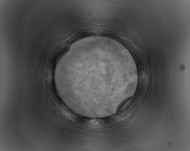 X0000100780566200807171445