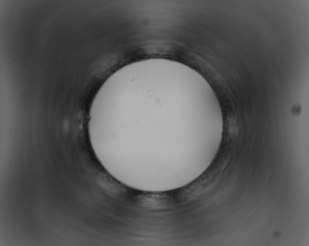 X0000100780567200807171445