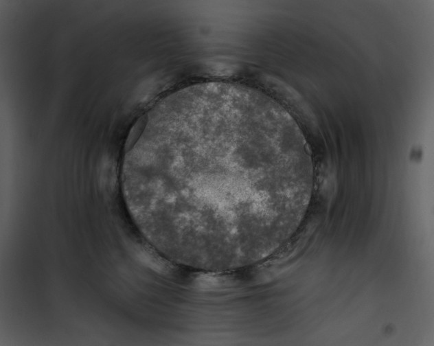 X0000100780568200807171446
