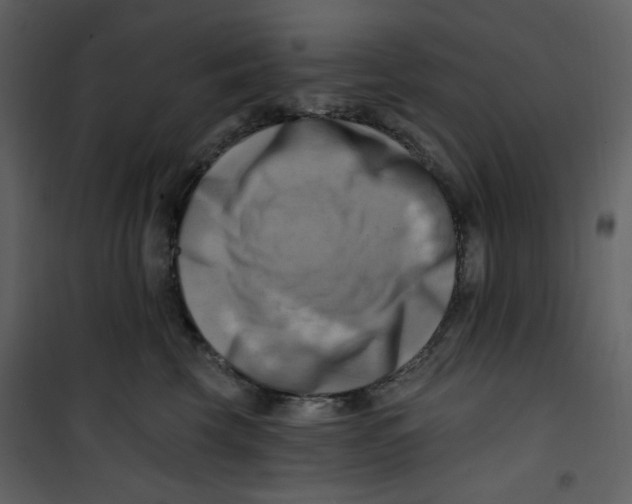 X0000100780569200807171446