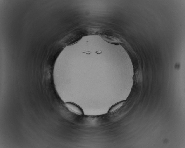 X0000100780570200807171446