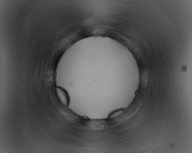 X0000100780571200807171446