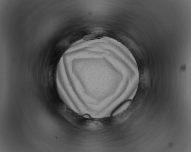 X0000100780572200807171446