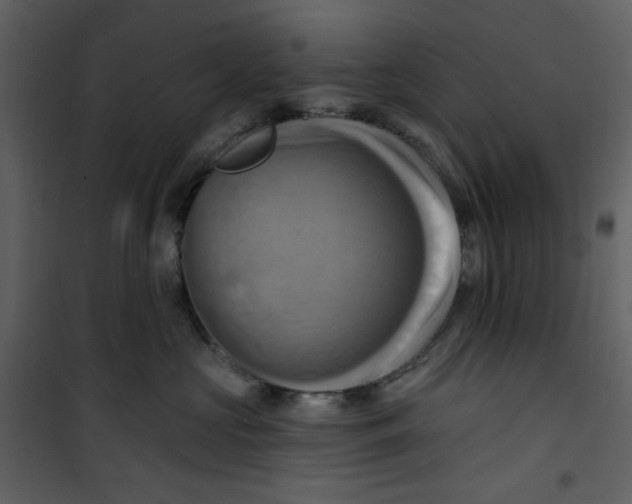 X0000100780573200807171446