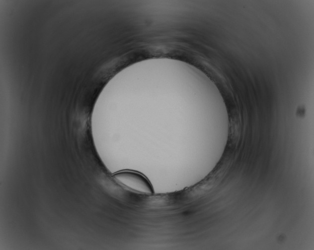 X0000100780574200807171446