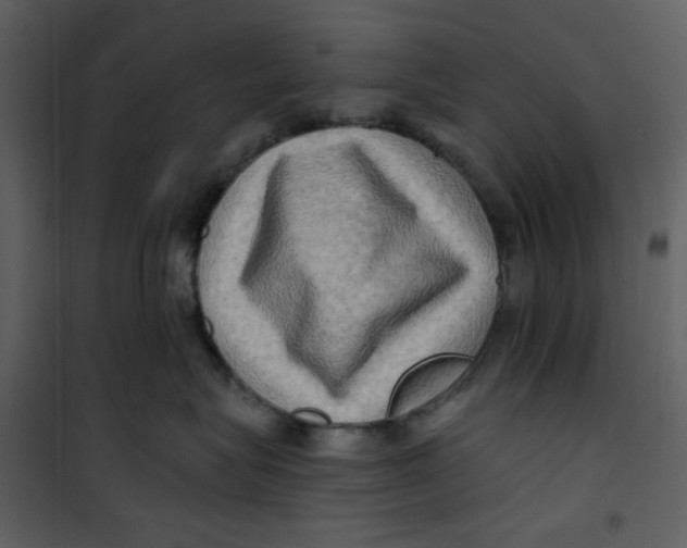 X0000100780575200807171446