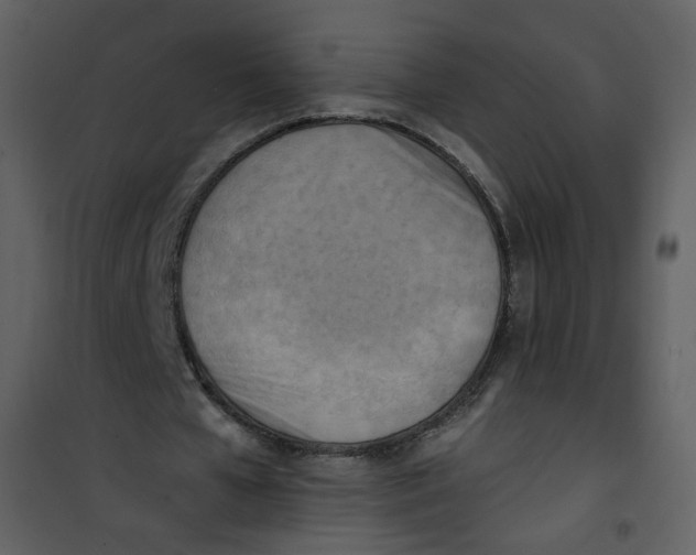 X0000100780577200807171445