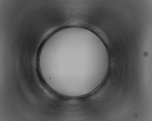 X0000100780578200807171445