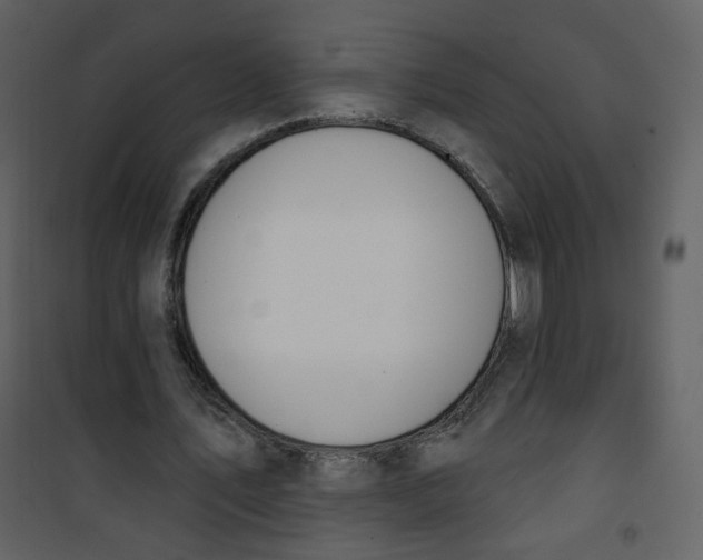 X0000100780579200807171445