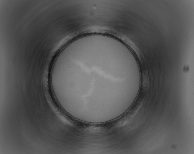 X0000100780581200807171445