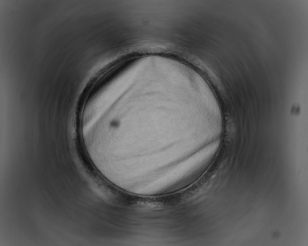 X0000100780582200807171445