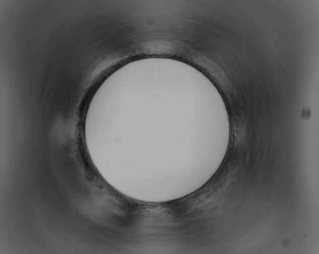X0000100780583200807171445