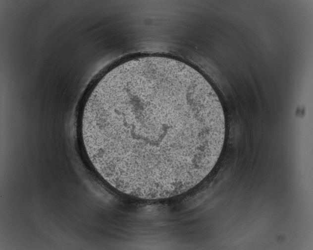 X0000100780584200807171445