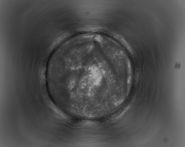 X0000100780585200807171445