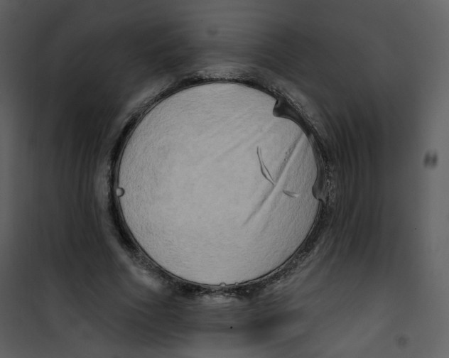 X0000100780586200807171445
