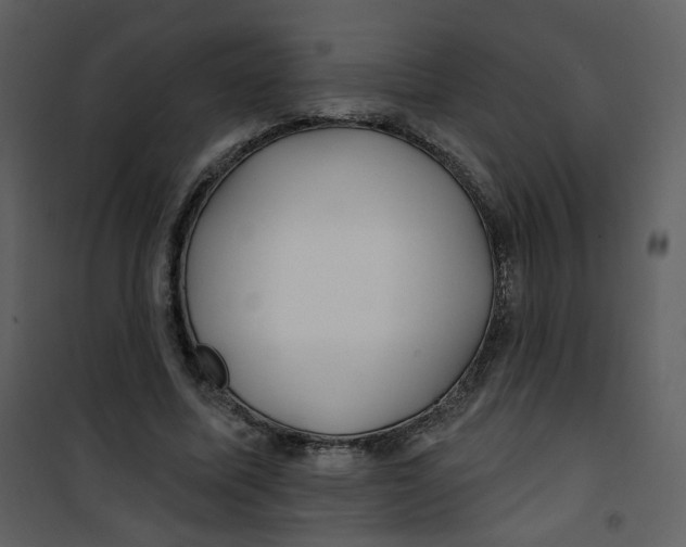 X0000100780587200807171445