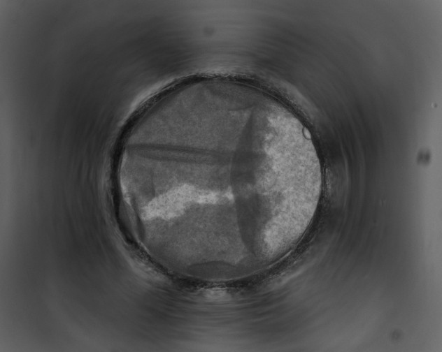 X0000100780588200807171445