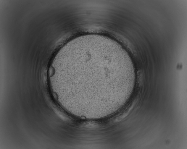 X0000100780589200807171445