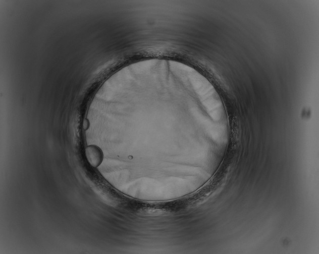 X0000100780590200807171445