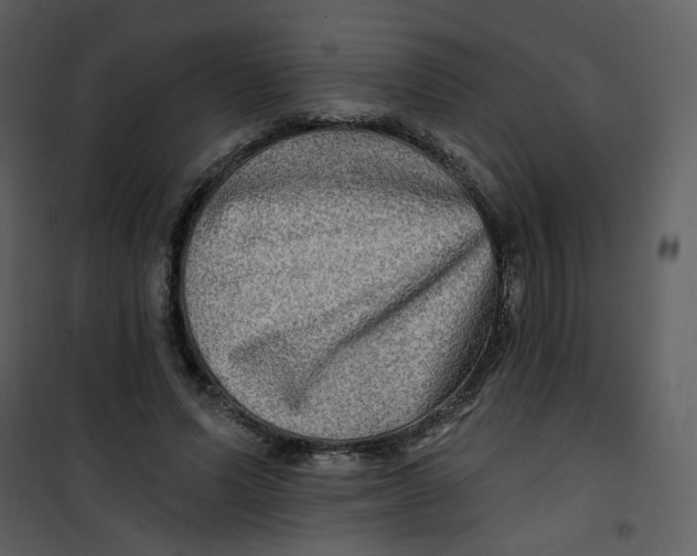 X0000100780591200807171445