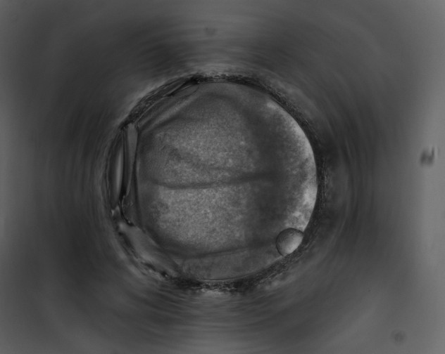 X0000100780592200807171445