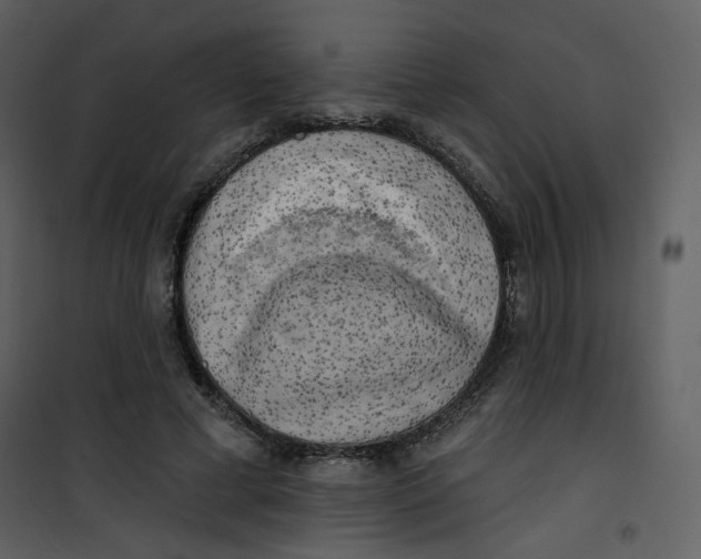 X0000100780593200807171445