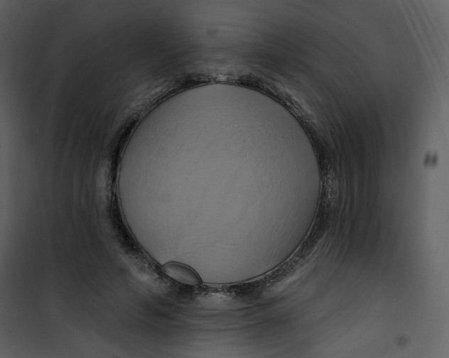 X0000100780594200807171445