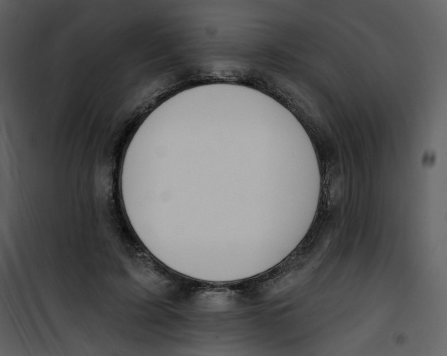 X0000100780595200807171445