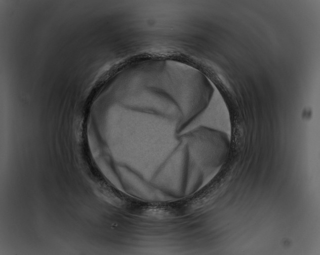 X0000100780596200807171445