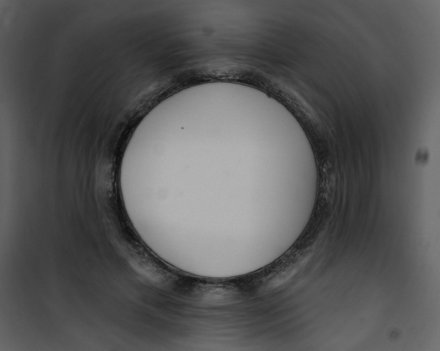 X0000100780597200807171445