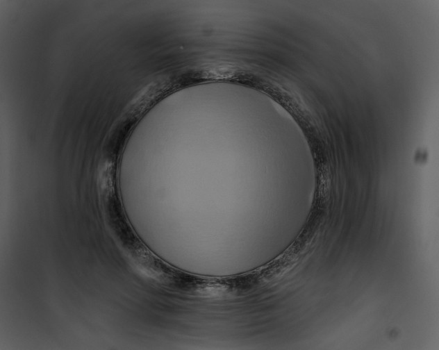X0000100780598200807171445